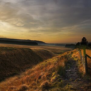 Out2-Early-Morning-Sunshine-Low-Sig-2048-on-Anglezarke-DSC04029.jpg