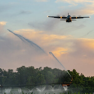 DSC04660-lr.jpg