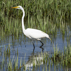 063-Sunken-Meadow-5-17-22-03.jpg