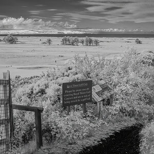 Royal Troon Golf Club .jpg