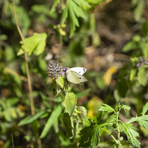 097-Sunken-Meadow-7-26-22-01.jpg