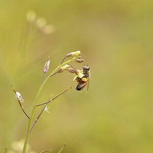 My Outing 16-08-2022 (1571).JPG