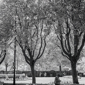 Prestwick Cross Gardens.jpg