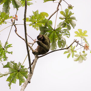 DSC04669-ARW_DxO_DeepPRIME.jpg