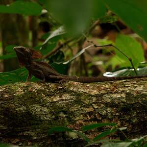 DSC05160-ARW_DxO_DeepPRIME.jpg