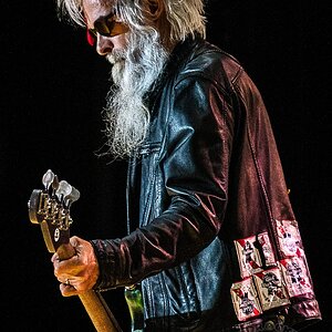 Elwood Francis - ZZ Top