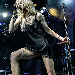 The Pretty Reckless-Taylor