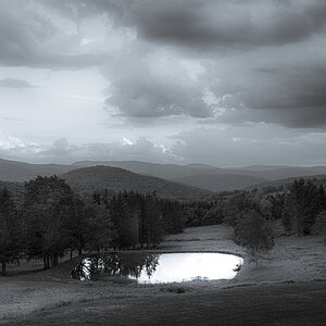 Pond Landscape 16 by 12.jpg