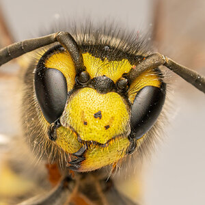 139B98FD-EC81-41AC-A6A3-D330301ACA89.jpeg