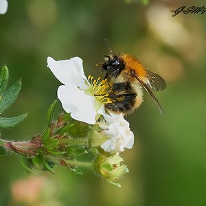 bee 2022  2.jpg