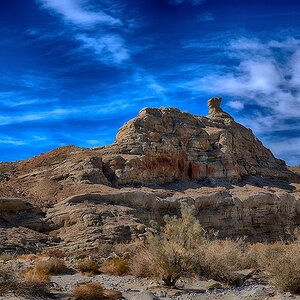 Animal Rock.jpg