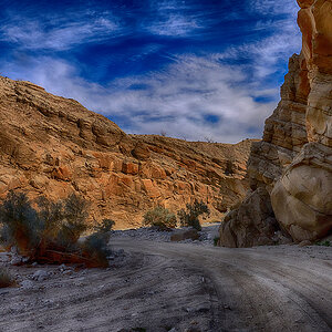 Canyon trail.jpg