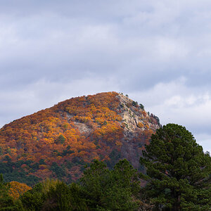 _DSC3080-2.jpg