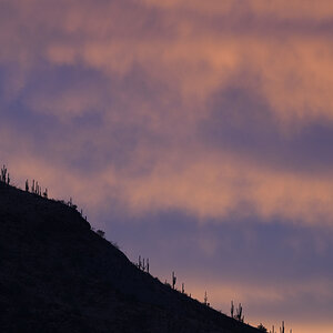 Pima College West sunrise S4844.JPG