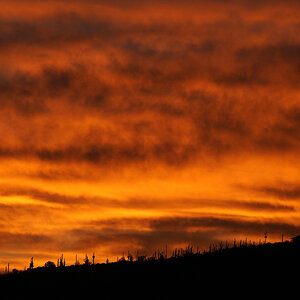 Pima College West sunrise S4846.JPG