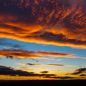 211006-untitled-021-2.jpg
