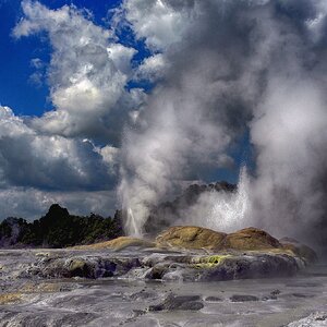 NZ geyser.jpg