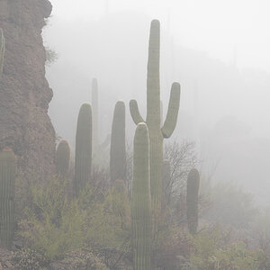 Gates Pass fog S5099.jpg