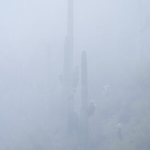 Gates Pass fog S5074.jpg