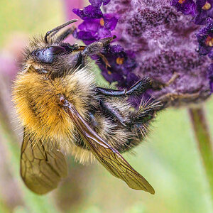 _SCD6365-Edit.jpg
