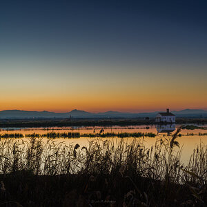 albufera-4.jpg