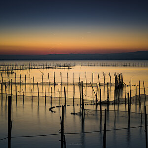 albufera-1.jpg