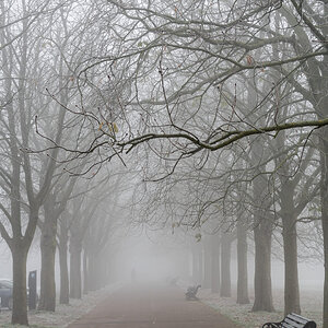 GreenwichPark_avenue_HCanddetail-1.jpg
