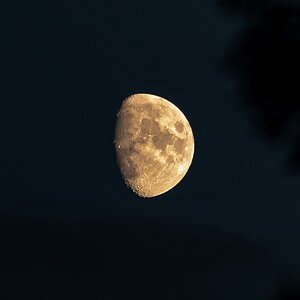 moon_3nov22-1.jpg