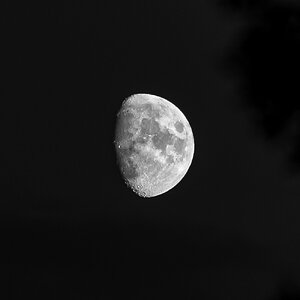 moon_bw_3nov22-1.jpg