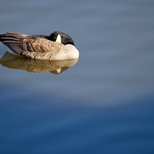 Basking in the Sunshine.jpeg