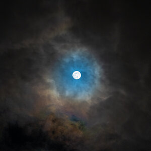 Feb Moon-001.jpg