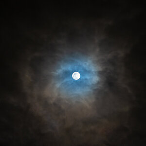 Feb Moon-003.jpg