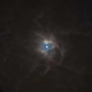 Feb Moon-014.jpg