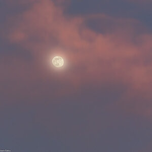 red_moon-1.jpg