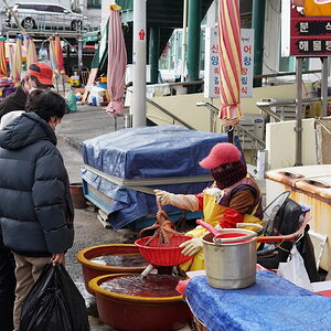 DSC07990_1.JPG
