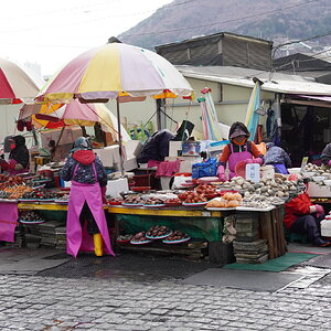 DSC07982.JPG