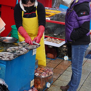 DSC07980.JPG