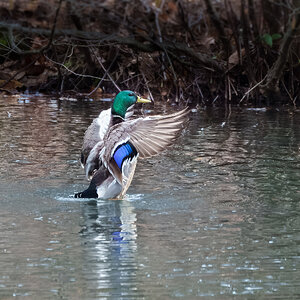 20230220-DSC07967-2.jpg