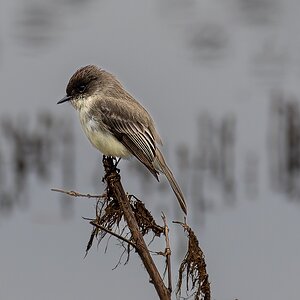 JRV05477-ARW.jpg