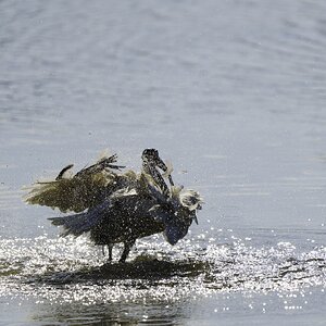 67D1219D-2870-4F56-8166-D7BAA7625F09.jpeg