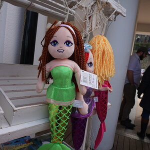 DSC00080.JPG