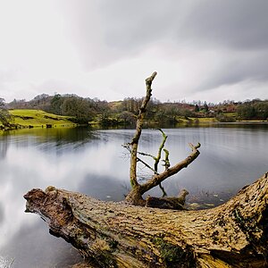 Ambleside Loughrigg Tarn March 23 1 DSC05719.jpg