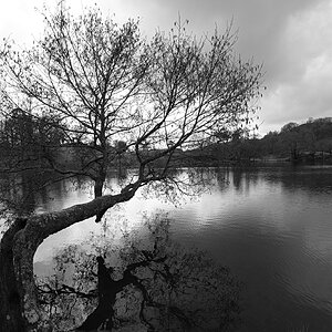 DSC05700Ambleside Loughrigg Tarn March 23 3.jpg