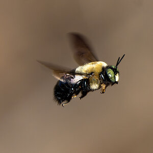 JRV00982-ARW_DxO_DeepPRIME.jpg