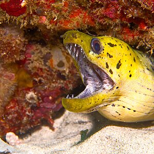 Bali Gili 2022 Under Water 72.jpg