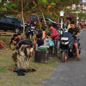 DSC05889.JPG