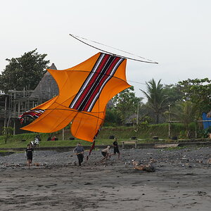 DSC05812.JPG