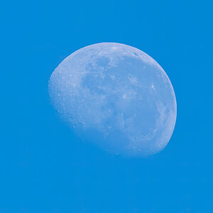 day-moon-May2023.jpg