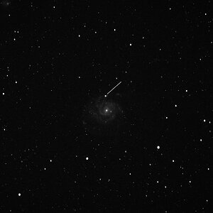 M101Supernova01.jpg