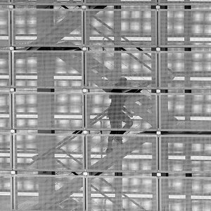 caged-6.jpg